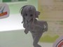 �扮