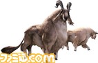 ff210