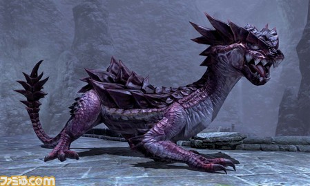 ff005