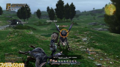 ff24