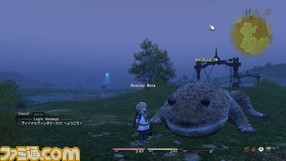 ff20