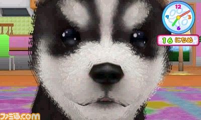 エム・ティー・オーがニンテンドー3DSで『かわいい仔犬3D仔犬』を発表_02