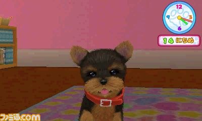 エム・ティー・オーがニンテンドー3DSで『かわいい仔犬3D仔犬』を発表_05