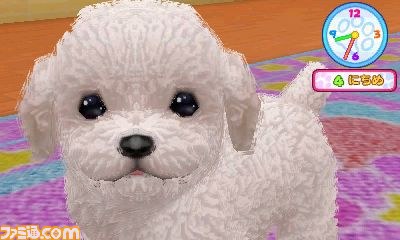 エム・ティー・オーがニンテンドー3DSで『かわいい仔犬3D仔犬』を発表_07