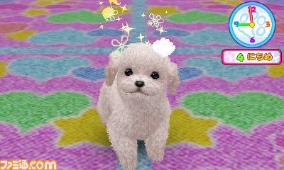 エム・ティー・オーがニンテンドー3DSで『かわいい仔犬3D仔犬』を発表_08