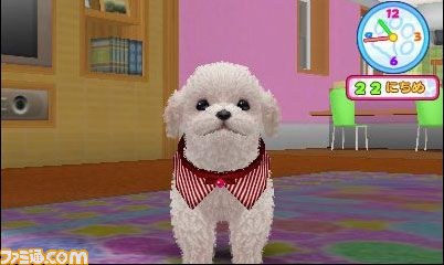 エム・ティー・オーがニンテンドー3DSで『かわいい仔犬3D仔犬』を発表_09