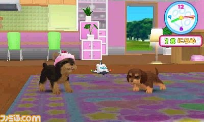 エム・ティー・オーがニンテンドー3DSで『かわいい仔犬3D仔犬』を発表_18