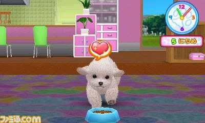 エム・ティー・オーがニンテンドー3DSで『かわいい仔犬3D仔犬』を発表_25