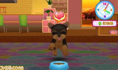 エム・ティー・オーがニンテンドー3DSで『かわいい仔犬3D仔犬』を発表_26