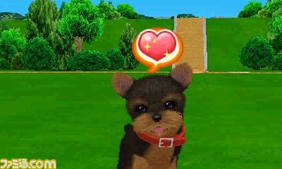 エム・ティー・オーがニンテンドー3DSで『かわいい仔犬3D仔犬』を発表_29