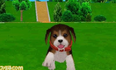 エム・ティー・オーがニンテンドー3DSで『かわいい仔犬3D仔犬』を発表_30