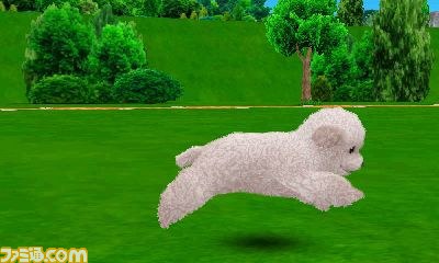 エム・ティー・オーがニンテンドー3DSで『かわいい仔犬3D仔犬』を発表_32