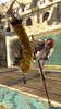 xiba/sc5_pub_ss_xiba1_005.BMP