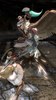 jp/sc5_pub_ss_aeon1_pyrrha1_002.BMP