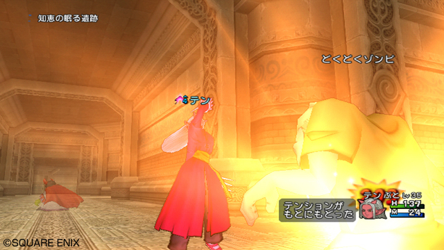 『ドラゴンクエストX　目覚めし五つの種族　オンライン』武闘家を紹介_15