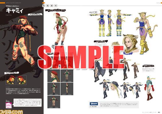 『ドラゴンズドグマ』のオフィシャルガイドブックがソフトと同日に発売決定_04