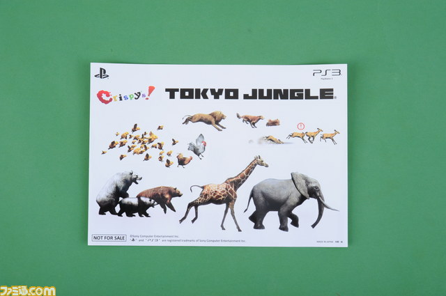 『TOKYO JUNGLE（トーキョー ジャングル）』の片岡ディレクターのインタビュー！　読者プレゼント企画も実施!!_15