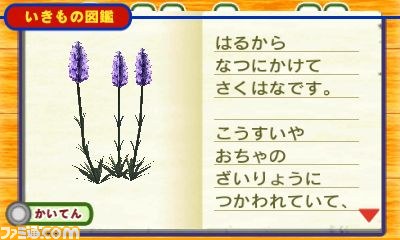 ニンテンドー3DS『こびとづかん こびと観察セット』のテレビCMが“いつの間にテレビ”で先行配信_03