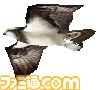 『鷹狩王』の公式サイトがオープン、ゲームの紹介が公開_23
