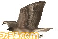 『鷹狩王』の公式サイトがオープン、ゲームの紹介が公開_25