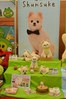 プライズ 160.jpg