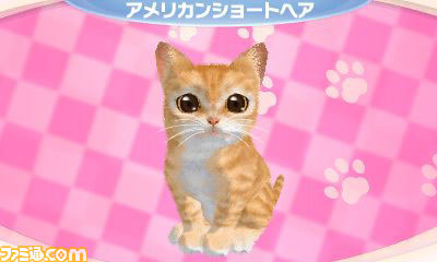 さまざまな新要素を盛り込んだエム・ティー・オーの『かわいい子猫3D』が2012年12月13日に発売_01