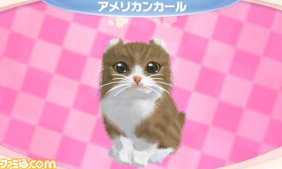 さまざまな新要素を盛り込んだエム・ティー・オーの『かわいい子猫3D』が2012年12月13日に発売_02