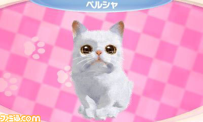 さまざまな新要素を盛り込んだエム・ティー・オーの『かわいい子猫3D』が2012年12月13日に発売_03
