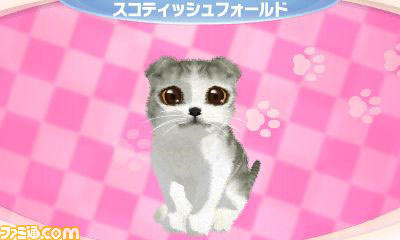 さまざまな新要素を盛り込んだエム・ティー・オーの『かわいい子猫3D』が2012年12月13日に発売_04