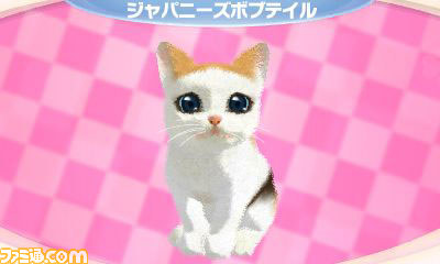 さまざまな新要素を盛り込んだエム・ティー・オーの『かわいい子猫3D』が2012年12月13日に発売_05
