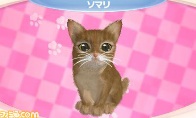 さまざまな新要素を盛り込んだエム・ティー・オーの『かわいい子猫3D』が2012年12月13日に発売_06