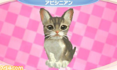 さまざまな新要素を盛り込んだエム・ティー・オーの『かわいい子猫3D』が2012年12月13日に発売_07