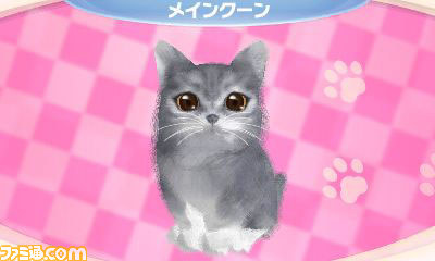 さまざまな新要素を盛り込んだエム・ティー・オーの『かわいい子猫3D』が2012年12月13日に発売_08