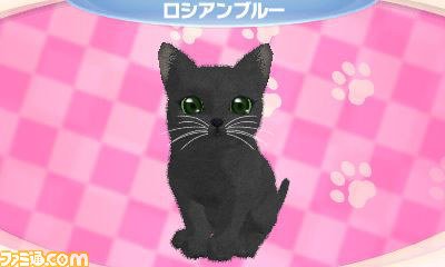 さまざまな新要素を盛り込んだエム・ティー・オーの『かわいい子猫3D』が2012年12月13日に発売_09
