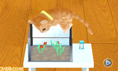 さまざまな新要素を盛り込んだエム・ティー・オーの『かわいい子猫3D』が2012年12月13日に発売_16