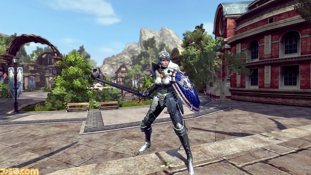 sword_shield_plate_woman.jpg