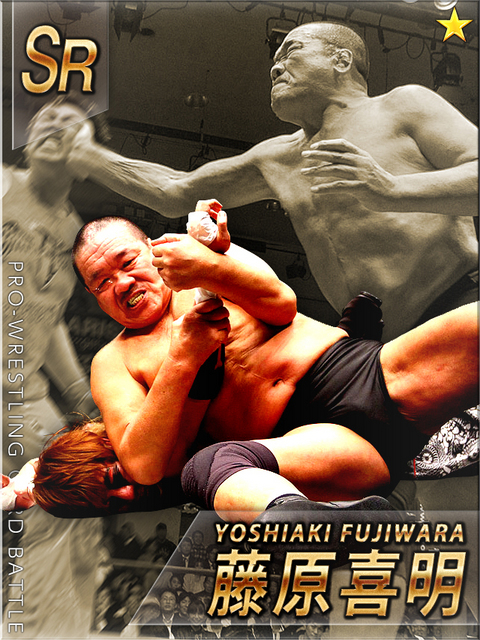 団体の垣根を越えたぶつかり合い！　『激闘!! プロレスカードバトル』が配信_02