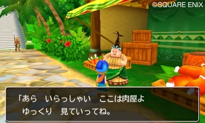 『ドラゴンクエストモンスターズ2　イルとルカの不思議なふしぎな鍵』マルタの国を紹介_06