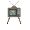 DoS_TV-san_fix