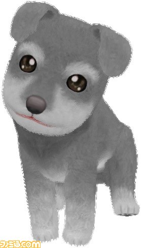 『わんニャンどうぶつ病院 ステキな獣医さんになろう！』7月30日に発売決定　夜間勤務モードはハラハラドキドキ!?_20