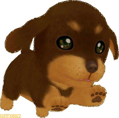 『わんニャンどうぶつ病院 ステキな獣医さんになろう！』7月30日に発売決定　夜間勤務モードはハラハラドキドキ!?_21