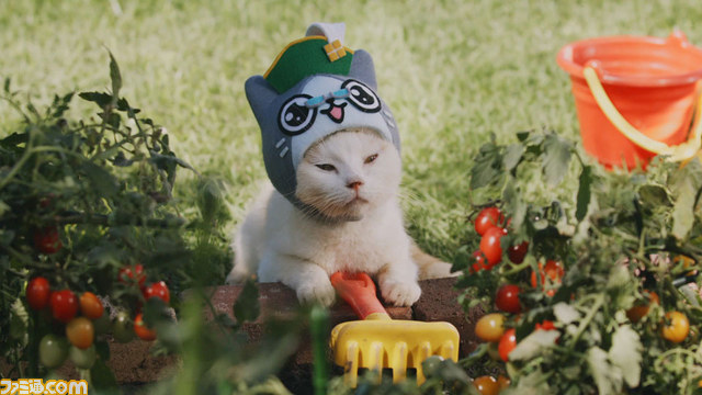 『モンハン日記 ぽかぽかアイルー村DX』猫たちがアイルーになりきったWEB CM“我輩はアイルーである。”を公開【動画あり】_04