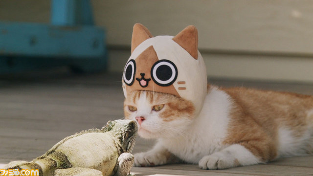 『モンハン日記 ぽかぽかアイルー村DX』猫たちがアイルーになりきったWEB CM“我輩はアイルーである。”を公開【動画あり】_05