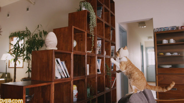 『モンハン日記 ぽかぽかアイルー村DX』猫たちがアイルーになりきったWEB CM“我輩はアイルーである。”を公開【動画あり】_06