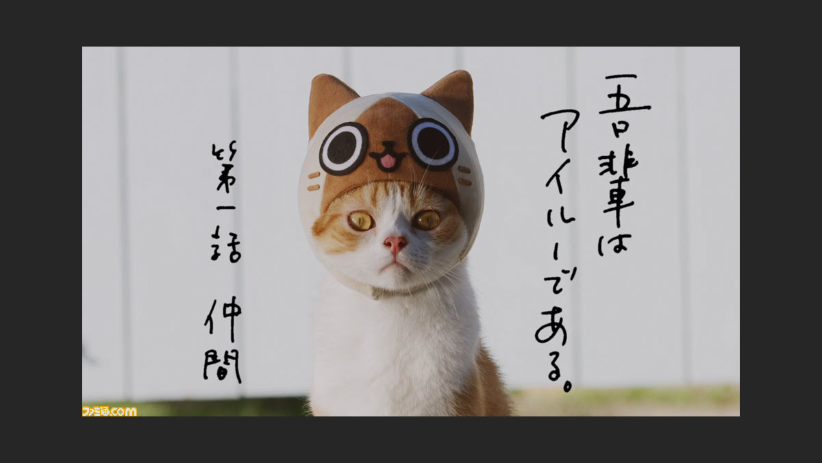 モンハン日記 ぽかぽかアイルー村dx 猫たちがアイルーになりきったweb Cm 我輩はアイルーである を公開 動画あり ファミ通 Com モンハン日記 ぽかぽかアイルー村dx 猫たちがアイルーになりきったweb Cm 我輩はアイルーである を公開 動画あり ファミ通 Com
