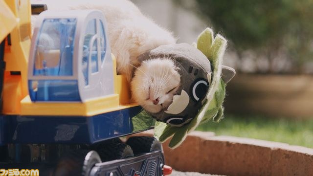 キュートなリアルニャンコが登場！『モンハン日記 ぽかぽかアイルー村DX』のWEB CM“吾輩はアイルーである。”第二話～第六話が一挙公開！！_07