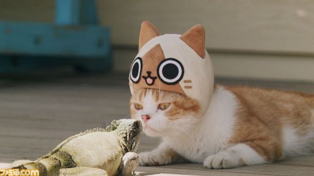 キュートなリアルニャンコが登場！『モンハン日記 ぽかぽかアイルー村DX』のWEB CM“吾輩はアイルーである。”第二話～第六話が一挙公開！！_02