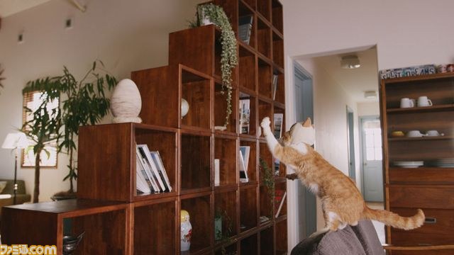 キュートなリアルニャンコが登場！『モンハン日記 ぽかぽかアイルー村DX』のWEB CM“吾輩はアイルーである。”第二話～第六話が一挙公開！！_08