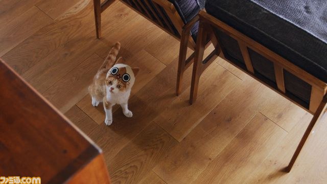 キュートなリアルニャンコが登場！『モンハン日記 ぽかぽかアイルー村DX』のWEB CM“吾輩はアイルーである。”第二話～第六話が一挙公開！！_10