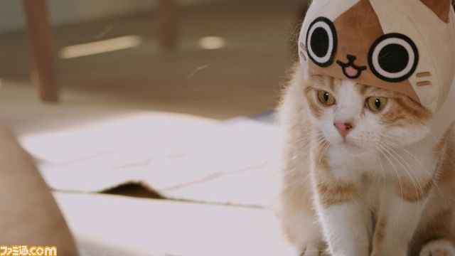 キュートなリアルニャンコが登場！『モンハン日記 ぽかぽかアイルー村DX』のWEB CM“吾輩はアイルーである。”第二話～第六話が一挙公開！！_11
